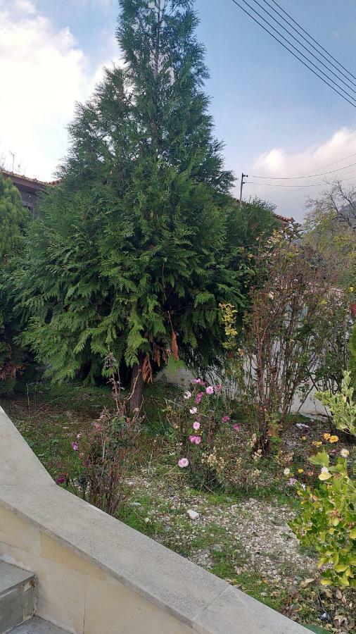 Protopapas House Kato Amiandos ภายนอก รูปภาพ